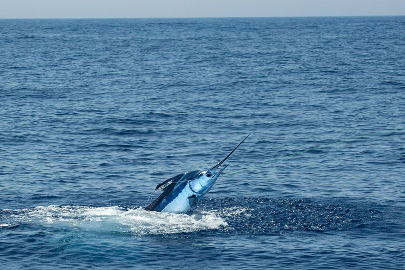 Journée de pêche