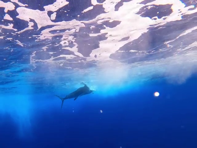 Escapade en Mer